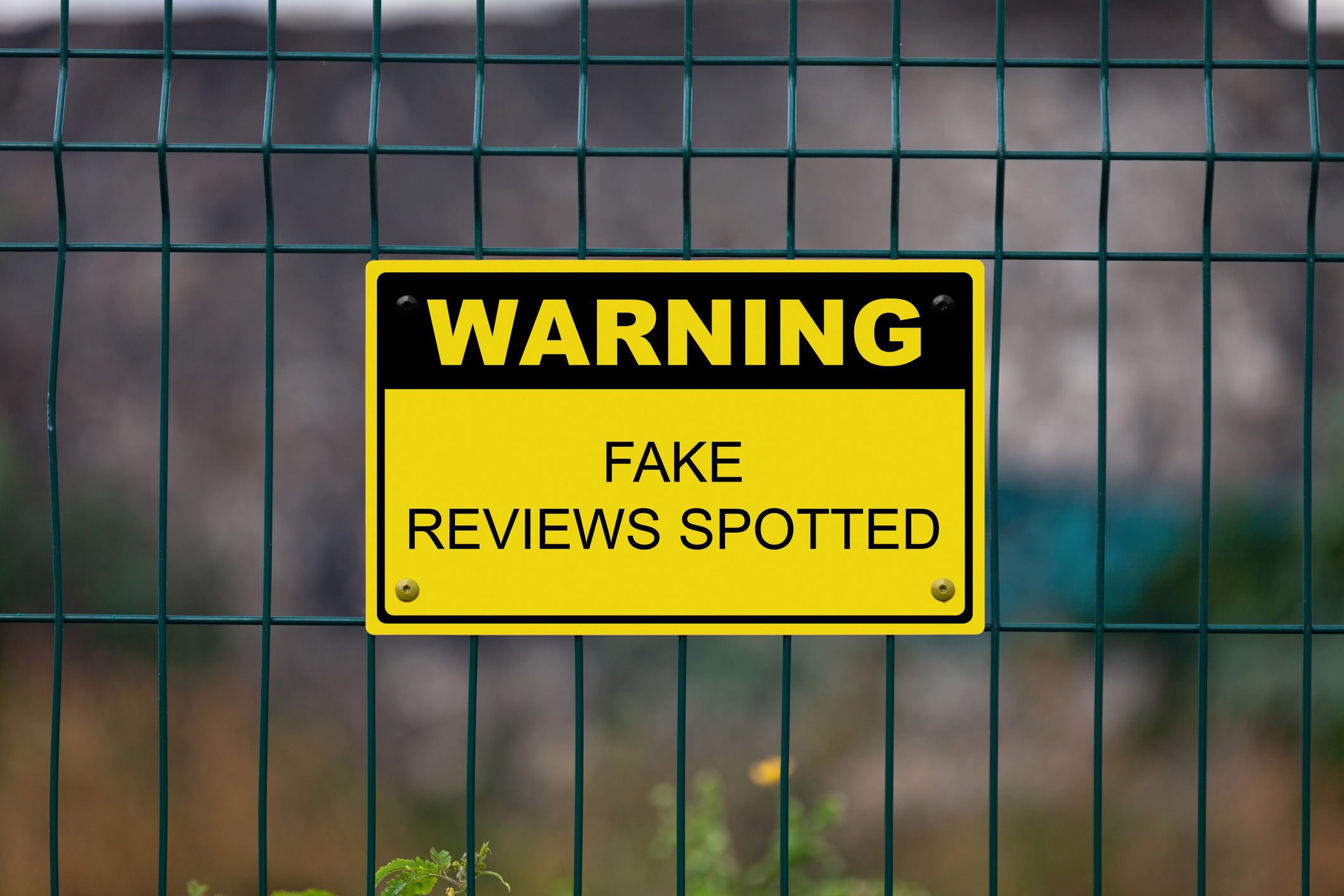 Featured image for “Fake Google Reviews Exposed! Wellington Private Investigators Reveals The Truth.”